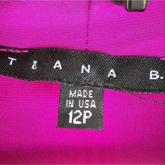 TIANA B Women Sleeveless Keyhole‎ Neck Violet Red Mini A-line Dress Size 12P NWT - Picture 3 of 7